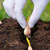 🌞 From Summer Sizzle to Fall Cool: Your Georgia Garden’s September Switch-Up 🍂