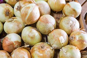 The Georgia Vidalia Onion: Sweetness and Southern Charm!