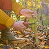 🌱 Is Your Garden Ready? Your Essential Pre-Frost Prep Guide for Georgia Gardeners