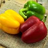 Bell Peppers