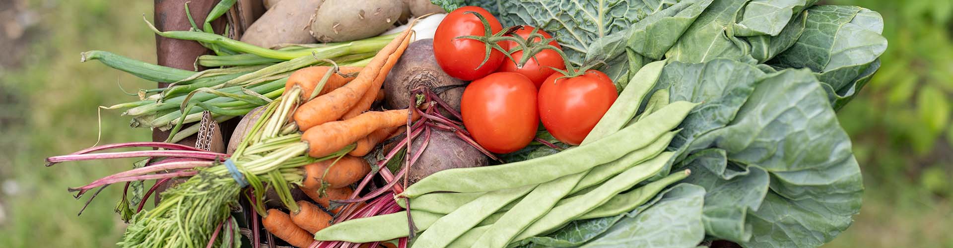 Accurate, up-to-date information about Georgia produce