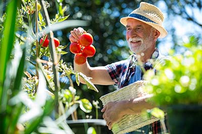 Gardening tips specific to Georgia's climate and conditions for soil preparation