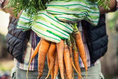 Connecting with local resources is a fantastic way to enhance your gardening experience in Georgia.