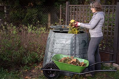 Maintaining a successful garden in Georgia involves ongoing care and attention.