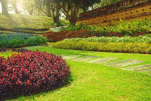 Elevate Your Home and Events with Central Georgia Landscape Design Services