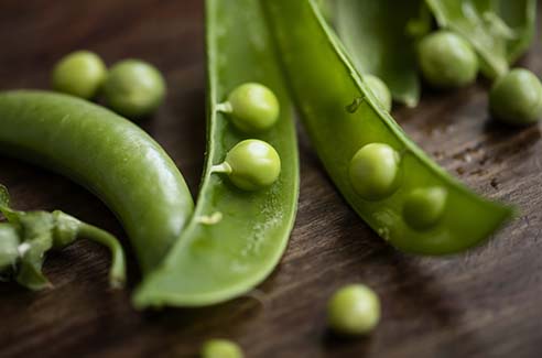 GA Garden Vegetables - Peas