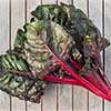 Swiss Chard