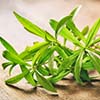 Tarragon